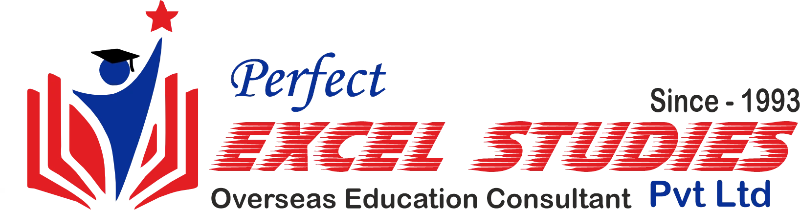 Perfect Excel Studies